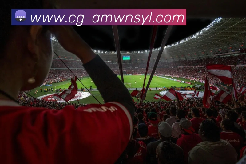 威尼斯人线上娱乐平台生态图